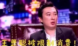 王思聪消费最新爆料,奢华生活再升级，细节曝光引热议